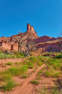 The palisade above gateway, co.