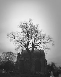 Low angle view of bare trees against the sky