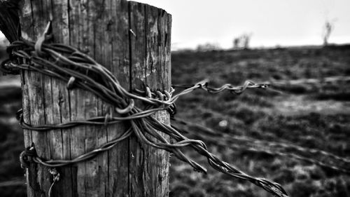 Close-up of rusty chain on wooden fence