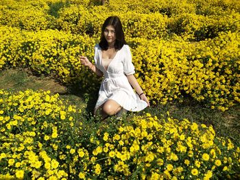 Portrait of young woman sitting on yellow flowering plants