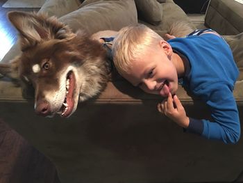 High angle view of boy with dog on sofa at home