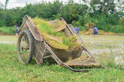 High angle view of man relaxing on field