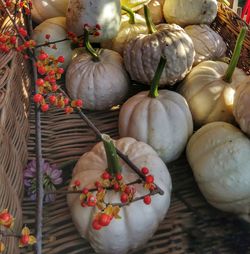 Close-up of vegetables