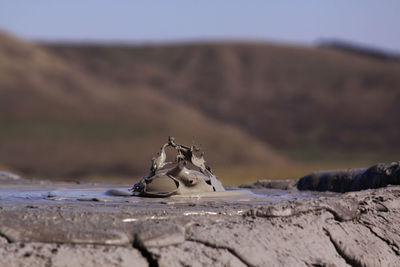 Close-up of container on rock against sky