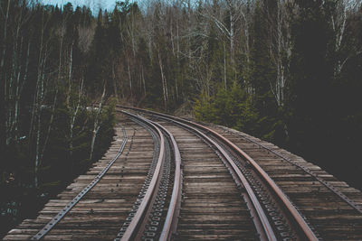 Railroad track amidst trees at forest