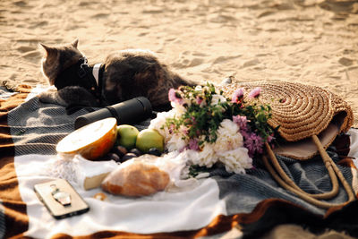 High angle view of food on table