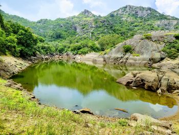 Green area pond beautiful