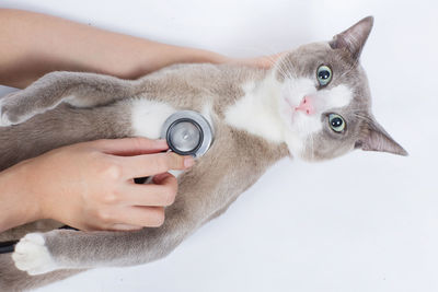 Close-up of man holding cat