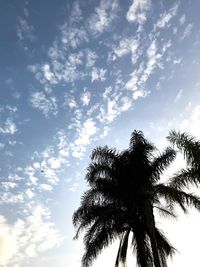 Low angle view of palm tree against sky