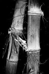 Close-up of old rusty tied up on wooden log