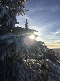 Low angle view of snow covered land against sky