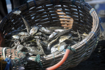 Close-up of fish for sale in market