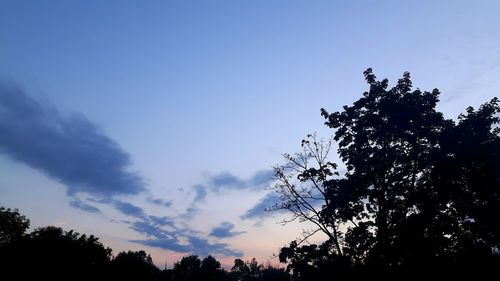 Low angle view of silhouette trees against sky