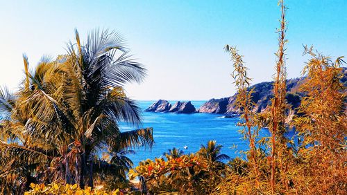 Scenic view of sea against clear blue sky