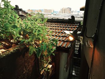 View of houses on the wall