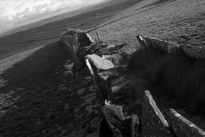 High angle view of horse on beach