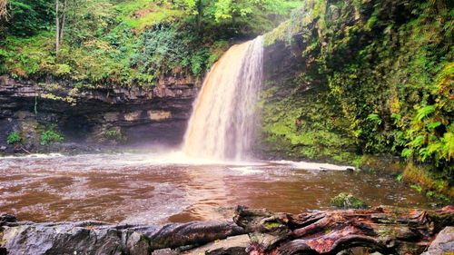 Scenic view of waterfall in forest