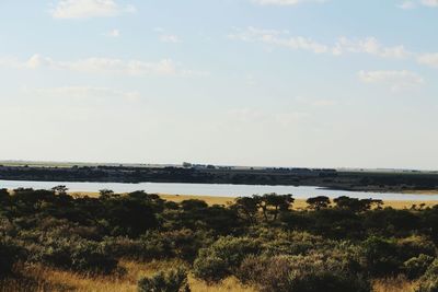 Scenic view of landscape and sea against sky