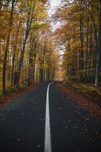 Road amidst trees in forest during autumn