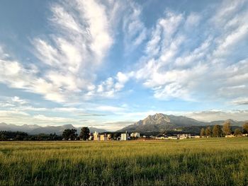 Scenic view of agricultural field against sky