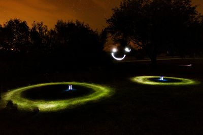 Silhouette of trees at night
