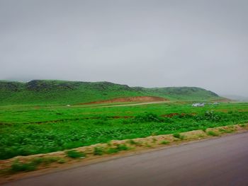 Scenic view of landscape against clear sky