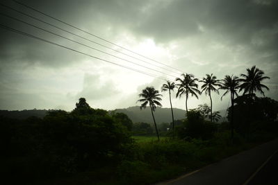 Silhouette trees and electricity pylon against sky