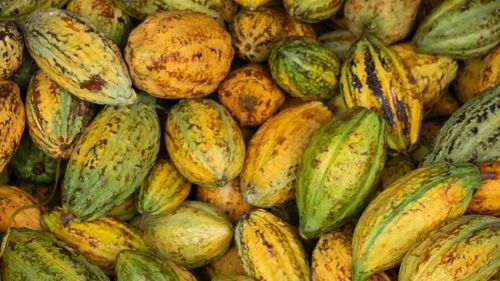 Full frame shot of fruits for sale at market stall