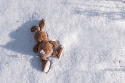 High angle view of cookies on snow