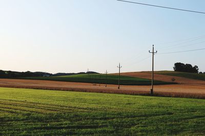 Scenic view of field against clear sky