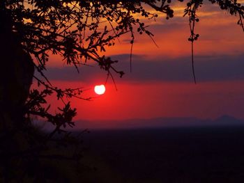 Silhouette of tree against sky during sunset