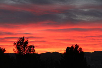 Silhouette trees against sky at sunset