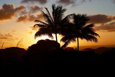 Silhouette palm trees against sky during sunset