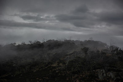 Trees on landscape against sky