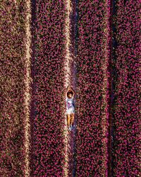 Aerial view of woman lying down on field 