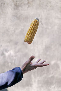 Close-up of hand catching corn against wall