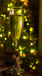 Person holding glass of christmas tree