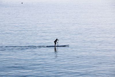 Silhouette man on boat in sea