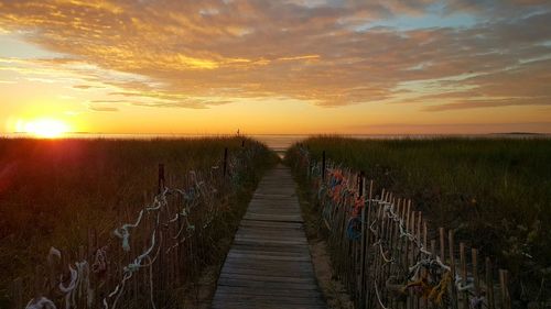 Boardwalk amidst plants leading towards sea during sunset