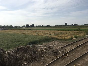 Scenic view of agricultural field against sky