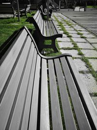 Close-up of grass in park