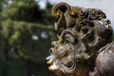 Close-up of gargoyle statue