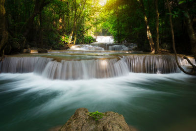 Scenic view of waterfall in forest