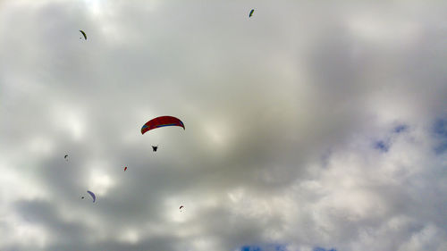 Low angle view of bird flying in sky