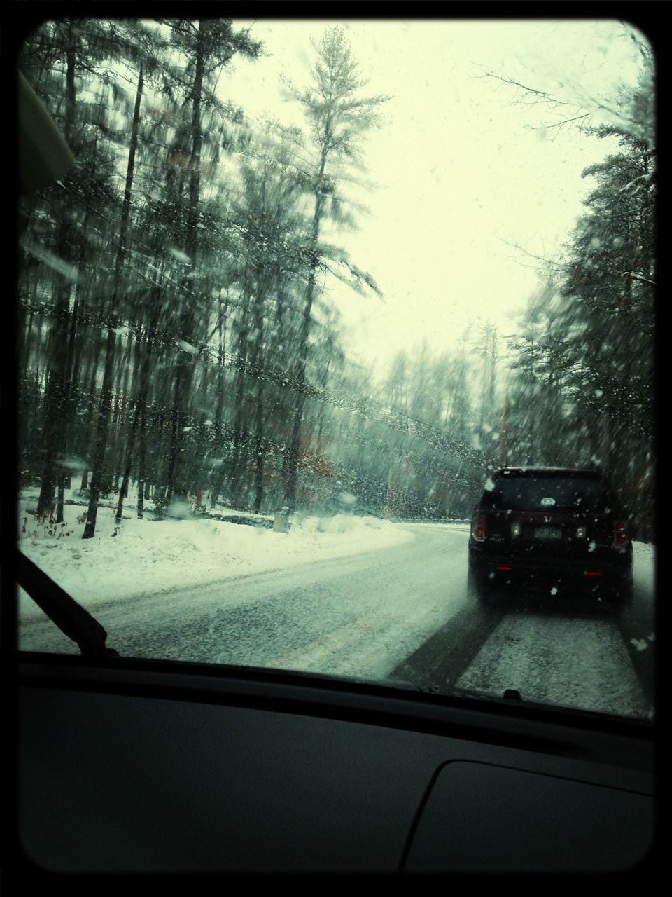 snow, winter, transportation, cold temperature, mode of transport, season, car, land vehicle, weather, tree, windshield, road, covering, travel, vehicle interior, car interior, glass - material, transfer print, frozen, nature