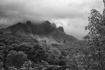 Scenic view of tree mountains against sky