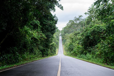 Empty road amidst trees against sky