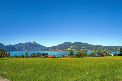 Scenic view of field against clear blue sky