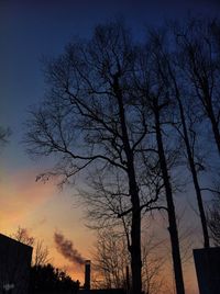 Low angle view of bare trees against sky