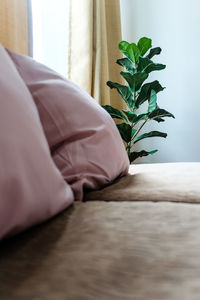 Close-up of person relaxing on bed at home